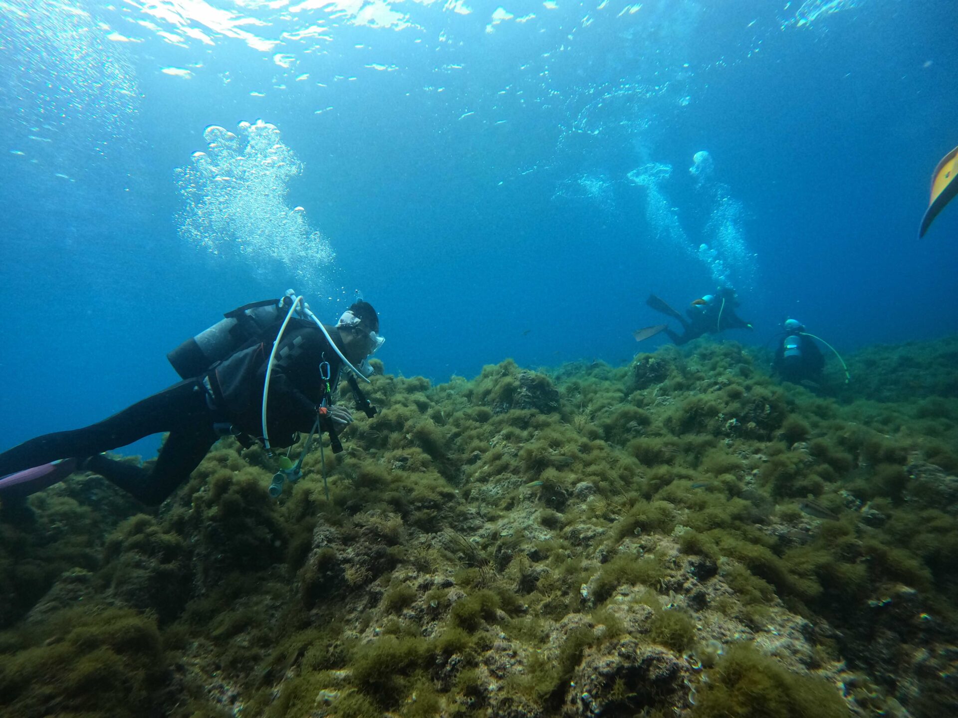 冠島の美しい水中風景2